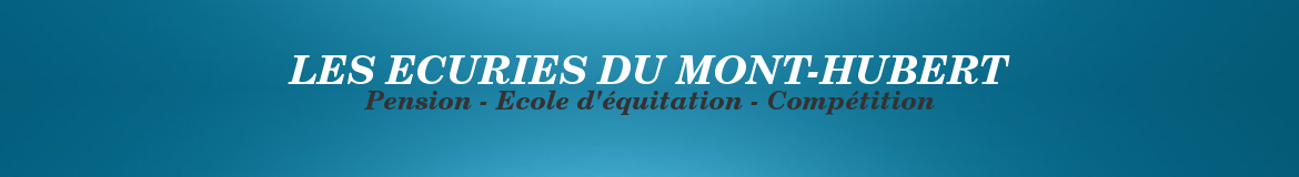 LES ECURIES DU MONT-HUBERT